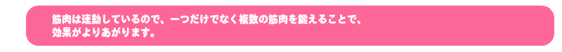 筋肉は連動しているので、一つだけでなく複数の筋肉を鍛えることで、